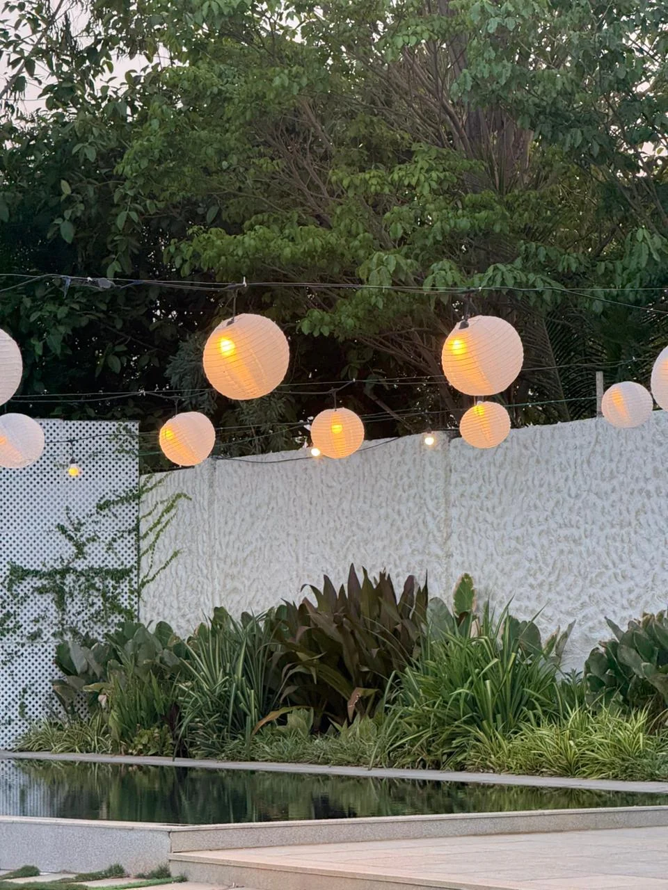 Paper lanterns glowing above the poolside garden at dusk